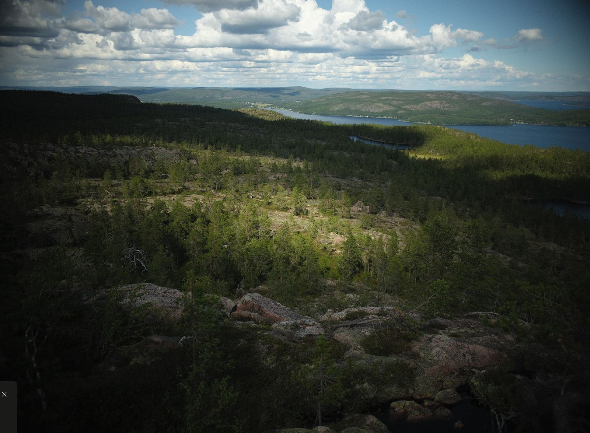 Bild på skog och berg.